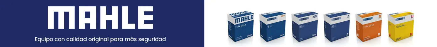 CARRUSEL mahle 1